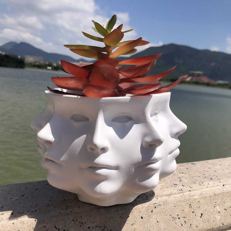 LuckyVin Multi-Face Succulent Planter Vase - Small Face Plant Head Home Decoration - Indoor Cactus Pot - Image 1